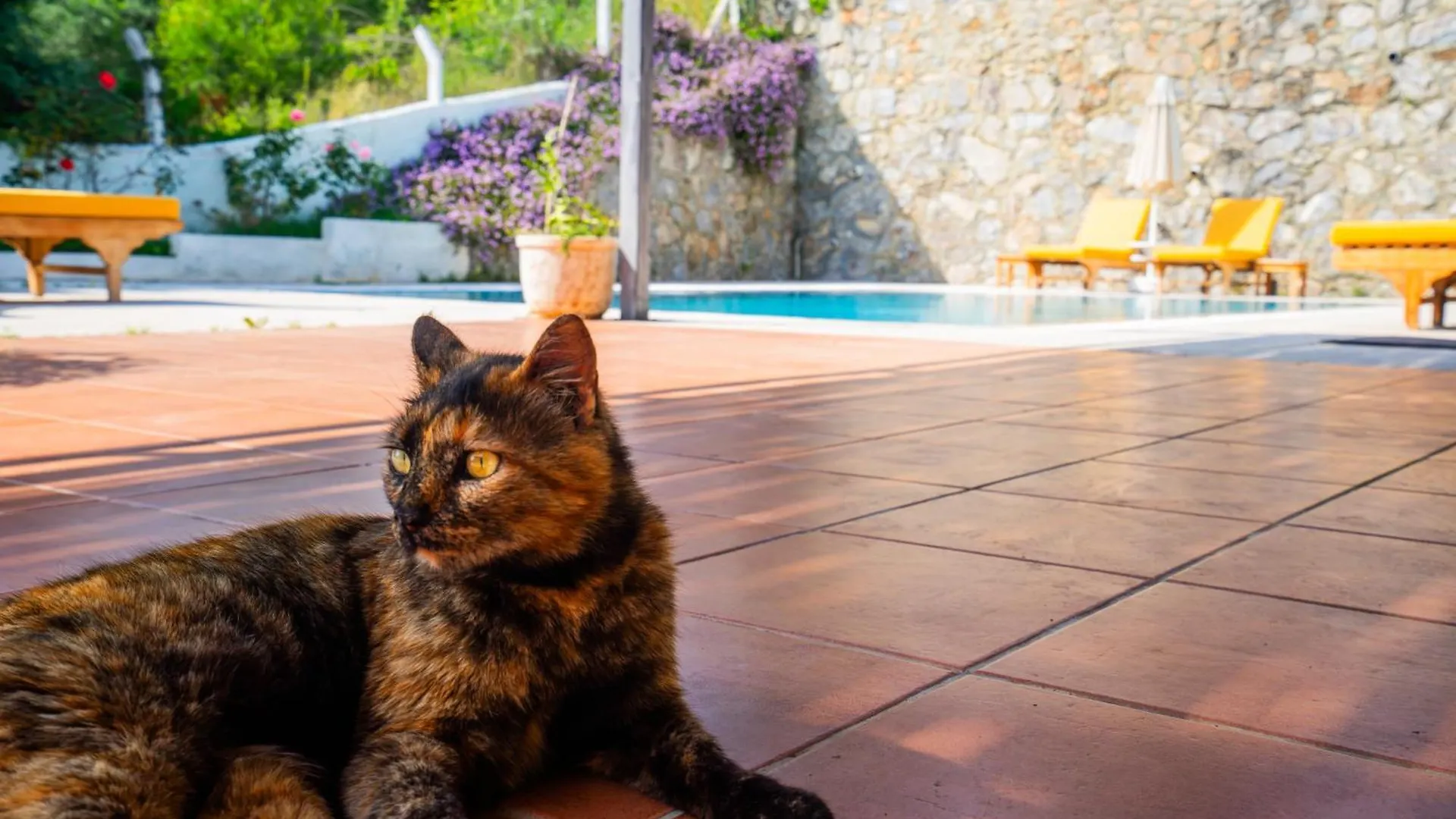 Villa Cedrus Akyaka